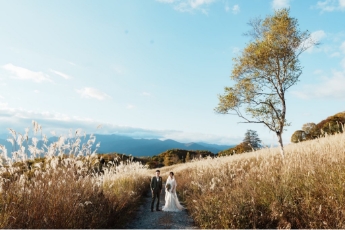 草原（群馬県みなかみ町）